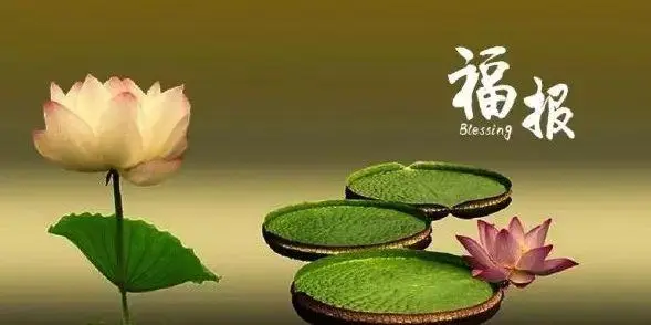 流产的孩子怎么化解，怨念消除才能够安心-音狐运势网