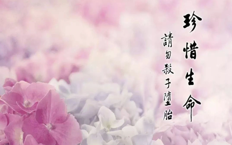 堕胎流产没有满49天算不算堕胎吗,堕胎流产为什么要进行超度-音狐运势网