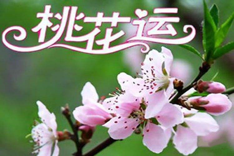 “桃花运”：几人欢喜？几人忧愁？-音狐运势网