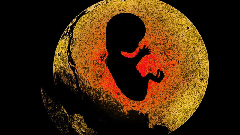 超度才是送走婴灵的唯一办法！-音狐运势网