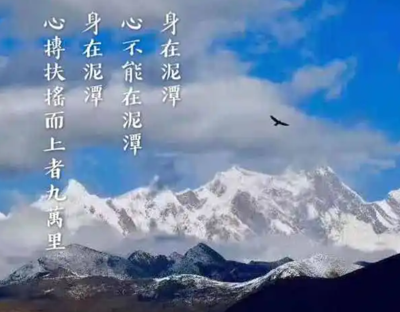 普陀山可以超度婴灵吗-音狐运势网