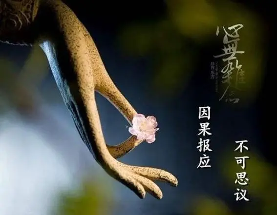 打胎后不顺利怎么办？-音狐运势网