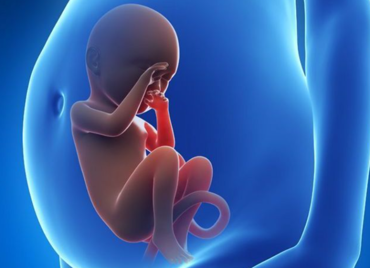 堕胎的民间说法-音狐运势网