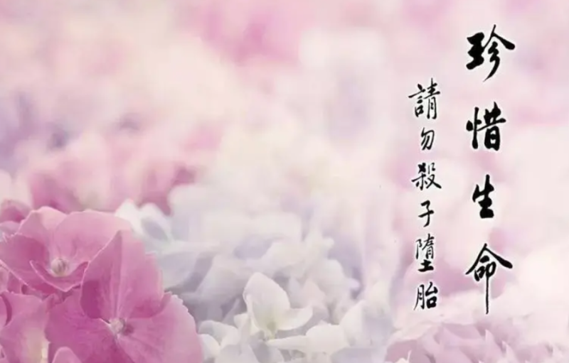 堕胎后对爸爸的果报-音狐运势网