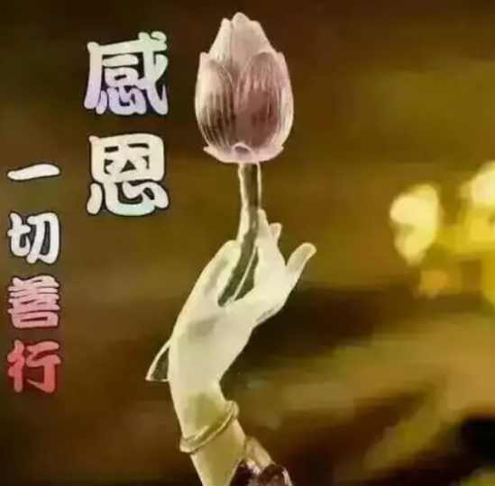 超度后的灵婴会跟着道教吗-音狐运势网