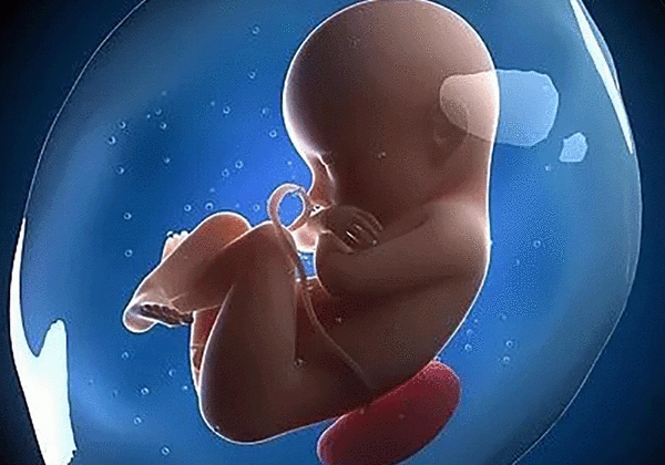 超度堕胎婴灵，请您为一切堕胎婴灵转发-音狐运势网